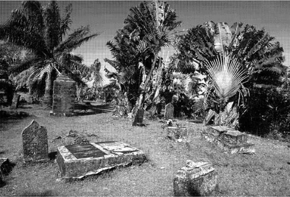 Могилы пиратов на острове Святой Марии Капитан встреченной Бёрджессом эскадры - фото 29