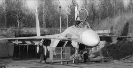 Регламентные работы мотчости Штурман 611го иап подполковник Шевченко слева - фото 16