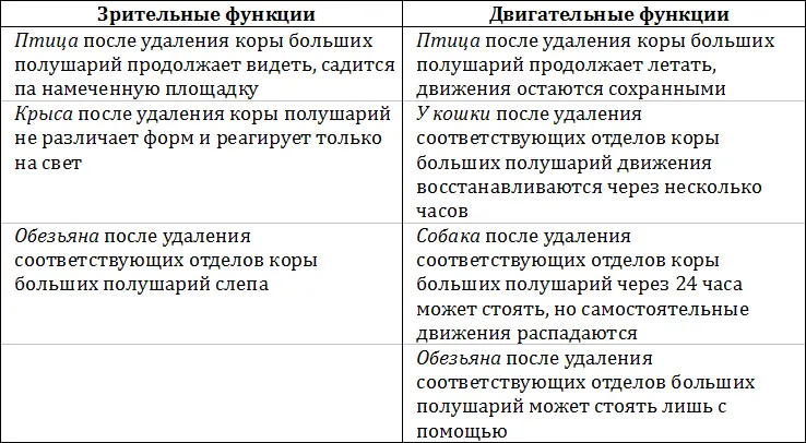 Все это показывает что большие полушария не только начинают занимать большое - фото 4