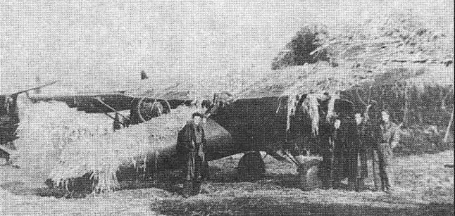 Сентябрь 1939 г Истребители Р11 с замаскированные сеном Самый - фото 27