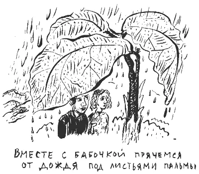 Ейбогу мы такого дождя никогда не видели Тонны воды обрушивались с неба - фото 12