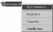 Вытягиваем из корзины то что случайно удалили Переименование объектов Чтобы - фото 79