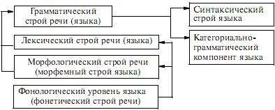 Приведенная схема уровневого вертикального строения языка отражает его - фото 9