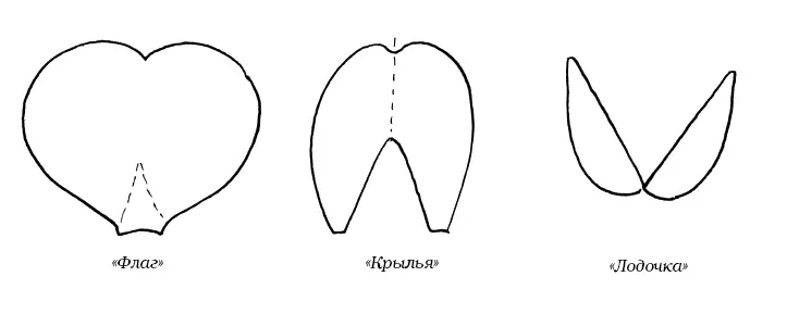 Флаг гофрируют с изнанки двухрядным резцом на жесткой резине и обрабатывают с - фото 106