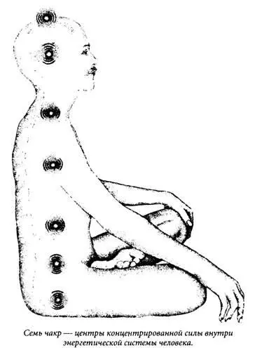 Семь чакр Первая чакра Первая чакра расположена в основании позвоночника в - фото 1