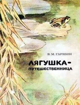 Lyagushka-puteshestvennitsa-Garshin-04