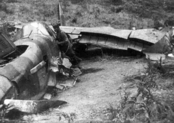 Остатки одного из сбитых Ил2 В тот памятный день 22 августа 1944 г ее горящий - фото 111