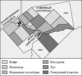 Рис 234 Кофейная плантация фазенда в штате СанПаулу Рис 235 - фото 314