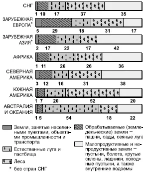 Рис 13 Структура мирового земельного фонда по крупным регионам доля в - фото 34