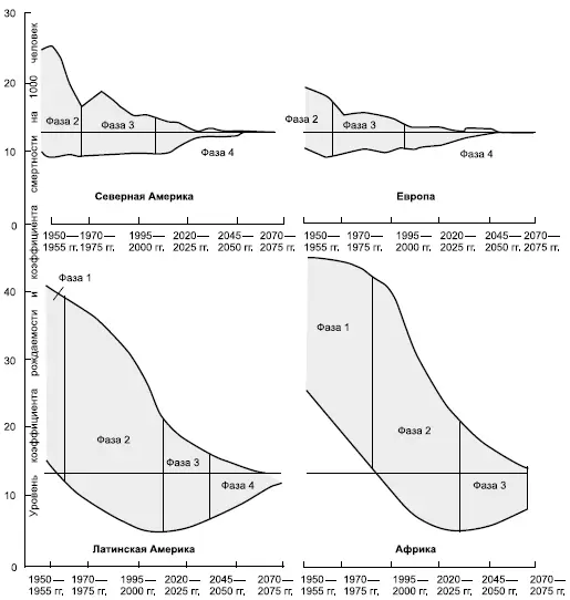 Рис 174 а Фазы демографического перехода и стабилизации численности - фото 361