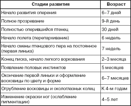 ОРГАНЫ ЧУВСТВ Зрение одно из главнейших чувств голубя Глаза расположены по - фото 6