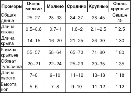 Массу голубяопределяют до кормления У очень мелких голубей она равна 200220 - фото 8