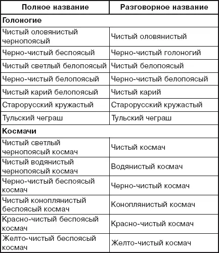 Чистые оловянистые чернопоясые Оловянистые голуби выведены в середине XVIII в - фото 14