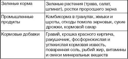 Зеленые и сочные корма Зеленые и сочные корма необходимы голубям как источники - фото 94