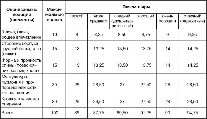 Окраска спортивного почтового голубя стандартом не определена она может быть - фото 106