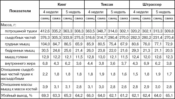 Лучшими мясными формами обладают самцы породы кинг В возрасте 5 недель - фото 111