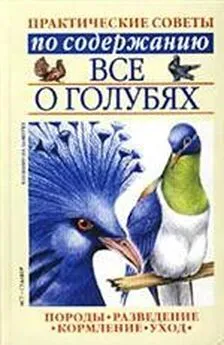 Светлана Бондаренко - Все о голубях