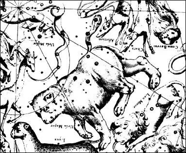 Созвездие Малой Медведицы в старинном звездном атласе Яна Гевелия Но вот и - фото 10