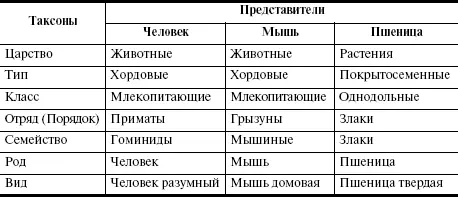 Кроме организмов имеющих клеточное строение существуют и неклеточные формы - фото 63