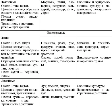 57 Царство животных Простейшие На Земле обитает более 2 млн животных и - фото 87