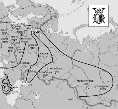 Рис 141 Распространение колорадского жука по территории России на 1990 г - фото 150