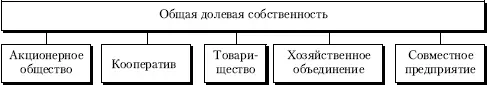 Рис 24Виды общего долевого присвоения Хозяйственное товарищество - фото 18