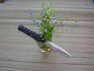 Cold Steel 6 TiLite Zytel Автор Алексей Анушкин ака Реликт Дата - фото 282
