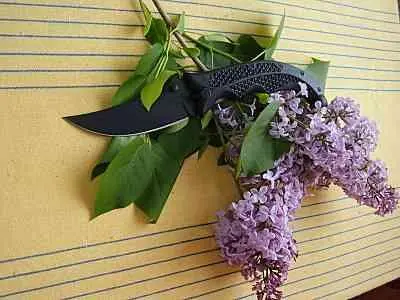 Есть ножи которые увидев один раз уже не выкинешь из памяти Не секрет что - фото 293