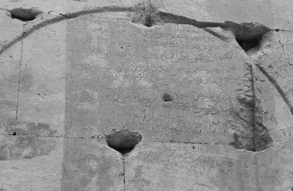 Рис 629 Одна из старинных надписей в Пальмире Фотография 2005 года На - фото 328