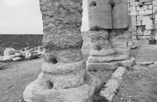 Рис 635 Колонны храма БелаВаала в Пальмире Фотография 2005 года Рис - фото 334