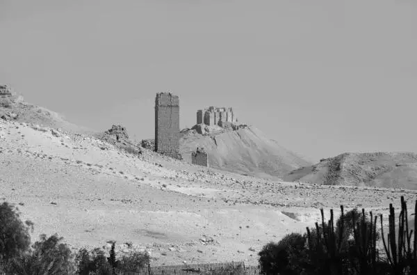 Рис 645 Арабский замок недалеко от Пальмиры Фотография 2005 года Рис - фото 344