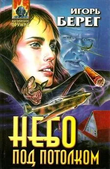 Игорь Берег - Небо под потолком