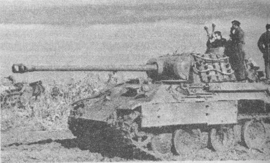 Пантера AusfA на боевой позиции Восточный фронт Украина 1943 год 18 - фото 150