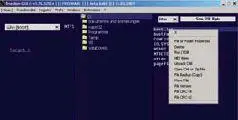 ОС Windows Адрес kaknetde Версия 155320E4 Размер 555 Кбайт Интерфейс - фото 28