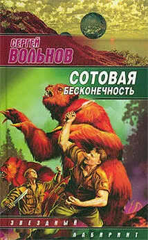 Сергей Вольнов - Сотовая бесконечность