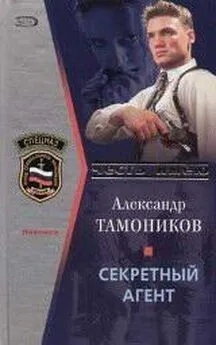 Александр Тамоников - Секретный агент