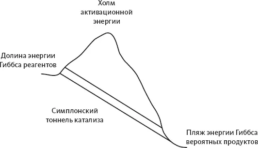 Рисунок 50Расчет энергии Гиббса говорит нам идет ли дорога к пляжу вниз но - фото 51