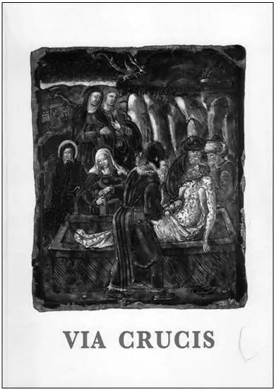 Via Crucis Крестный ход Ватикан 2001 Книга Пушкинская Италия СПб - фото 35