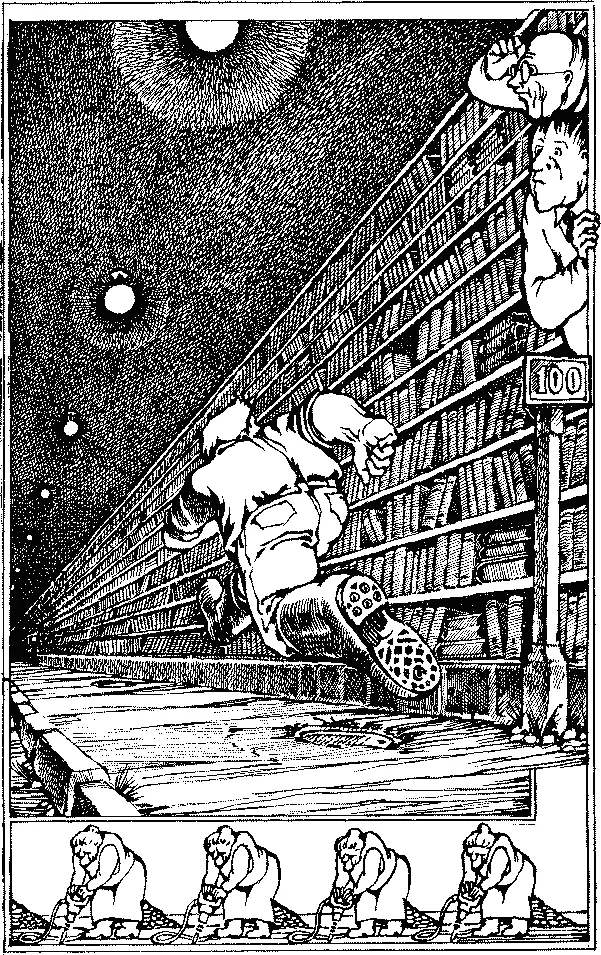 Хранилище было битком набито интереснейшими книгами на всех языках мира и - фото 36
