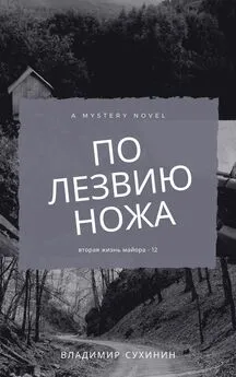 Владимир Сухинин - По лезвию ножа [СИ litres]