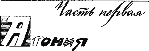 Часть первая АГОНИЯ Каждую минуту все новые и новые массы воздуха - фото 26