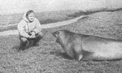 Ю Ланкин на острове Кергелен В Шелягин во время сидения в Тулузе - фото 24