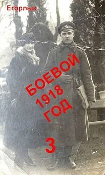 Владислав Конюшевский - Боевой 1918 год-3 [СИ]