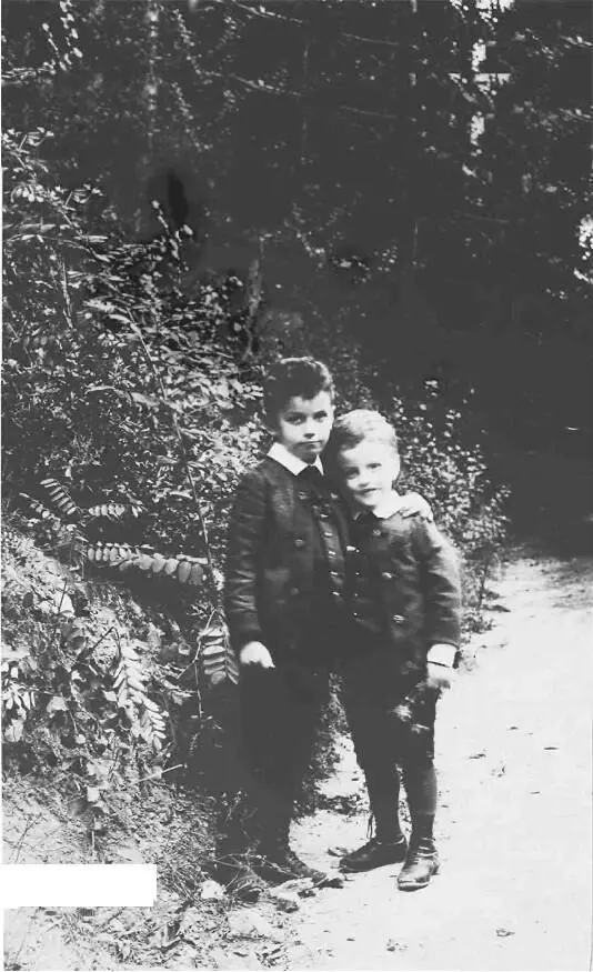 Пауль и Людвиг Витгенштейны 1894 Хохрайт Пале Витгенштейн со стороны - фото 8