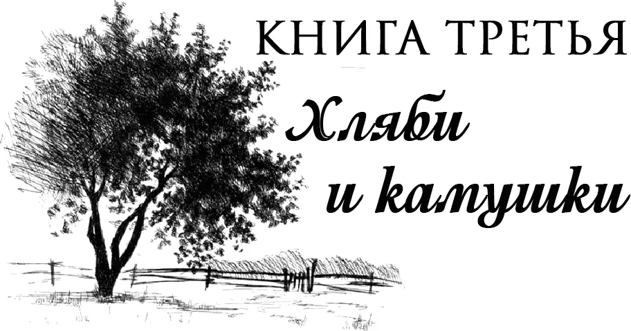 ЧАСТЬ ПЕРВАЯ Еще в сентябре Ксению приняли на собрании кандидатом в члены - фото 3