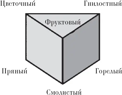 Эти иллюзии должны создаваться таким образом смешиваем А и Б и получаем запах - фото 43