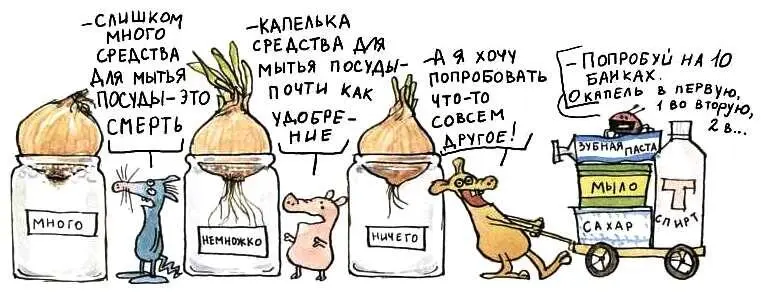 Как сделать помпон Нарисуй на плотном картоне два круга Вместо лекала можно - фото 102
