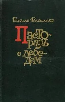 Василе Василаке - Пастораль с лебедем