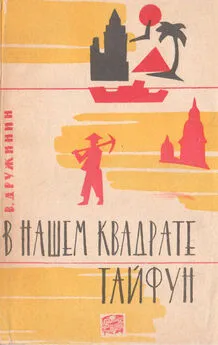 Владимир Дружинин - В нашем квадрате тайфун