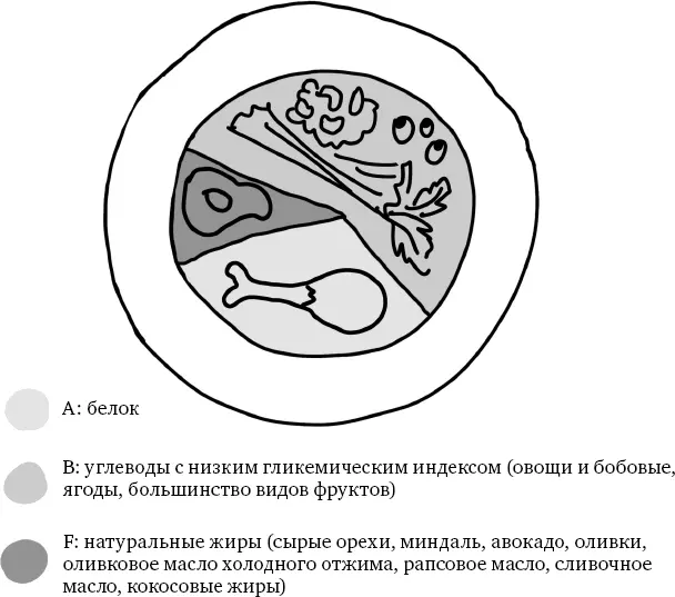 Модель тарелки ABCF для поощрительных приемов пищи Сколько мне следует есть - фото 16